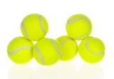 Automatic Dog Ball Launcher