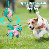 Interactive Dog Football & Frisbee Training Toy