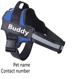 Personalized No-Pull Reflective Dog Harness