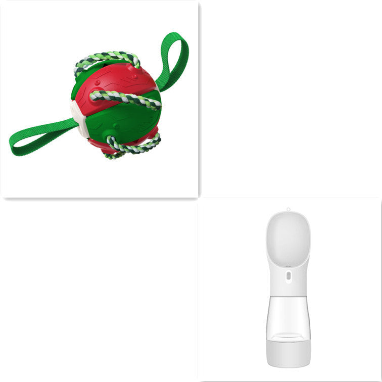 Interactive Dog Football & Frisbee Training Toy