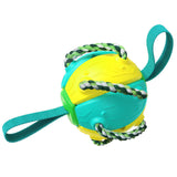 Interactive Dog Football & Frisbee Training Toy