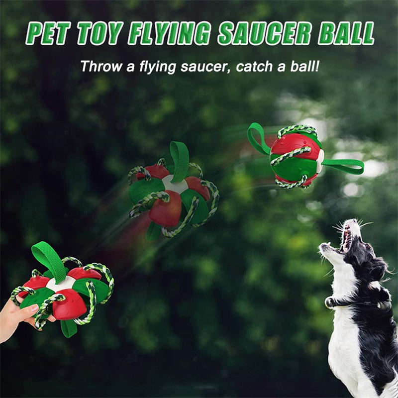 Interactive Dog Football & Frisbee Training Toy