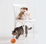 Smart Interactive Cat Toy