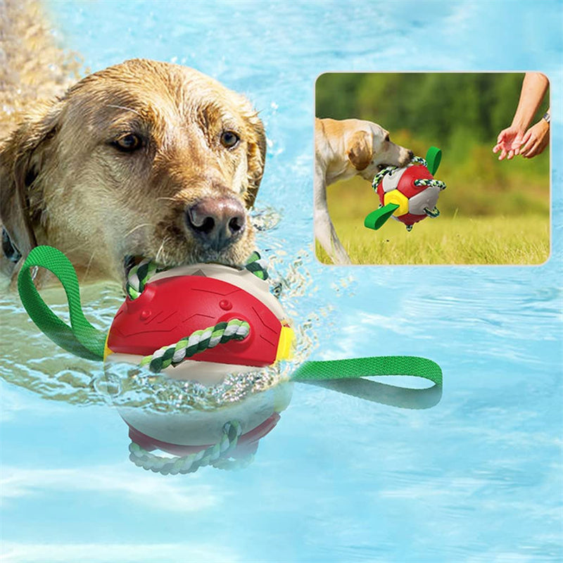 Interactive Dog Football & Frisbee Training Toy