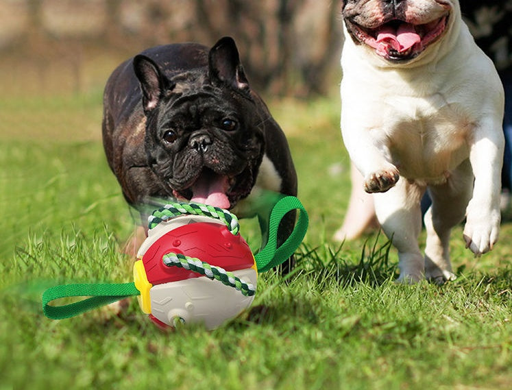 Interactive Dog Football & Frisbee Training Toy